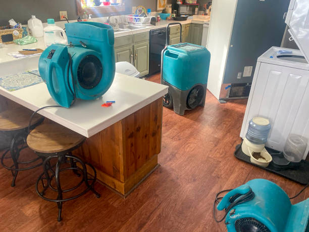 Best Residential water damage restoration  in Eidson Road, TX