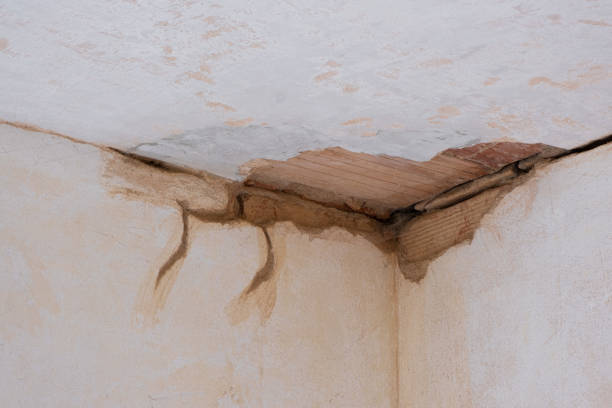 Best Water damage restoration near me  in Eidson Road, TX