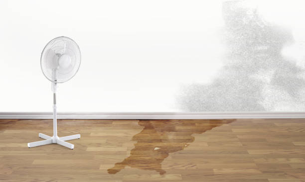 Best Ceiling water damage repair  in Eidson Road, TX